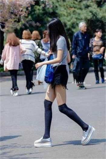 理论片2018理论