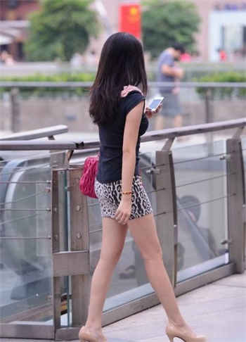 茗门软件合集