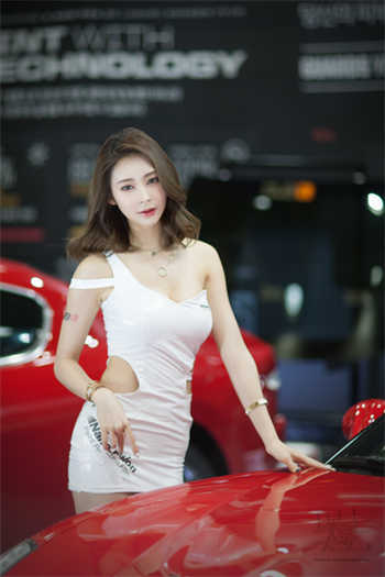 sw209磁力