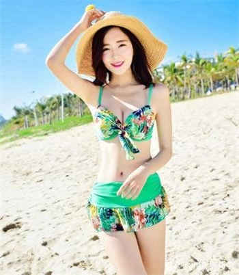 樱花独家提供实用路线