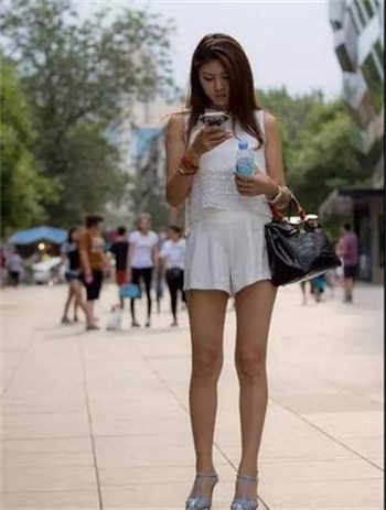 sp三姐妹木棉
