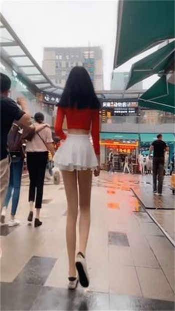 海棠小说网
