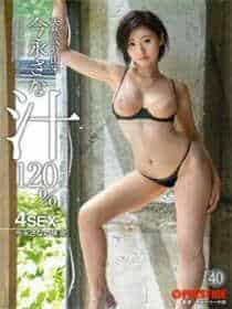 贺天莲新乱世佳人
