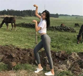 少帝77天索情