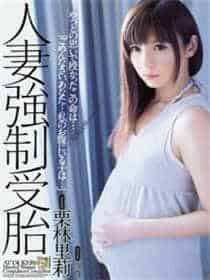 兔子先生第一季免费观看